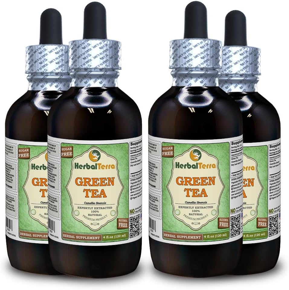 Grønn te (Camellia sinensis) glykeritt, organisk tørkede blader alkohol-fri flytende ekstrakt (merkenavn: HerbalTerra, stolt laget i USA) 4x4 fl.oz (4x120 ml)