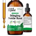 Wild & Organic Stinging Nettle Root Drops - Stinging Nettle Ekstrakt Tinktur for menn og kvinner - Flytende Urtica Dioica Supplement - Vegan, sukker og alkohol-fri - 2 fl oz