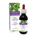 Naturalma Lemon Balm (Melissa officinalis) Leaf alkoholfri tinktur - 4 fl oz flytende ekstrakt i dråper - Herbal Supplement - Vegan