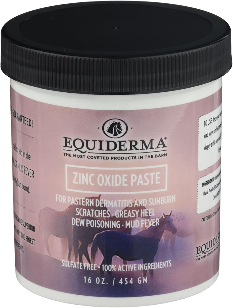 Equiderma Zink Oxid Paste for hester, 16 oz | Behandling for pastern dermatitt, Scratches & Sunburn | Beskyttende vann-Resistant Barrier & UV Shield