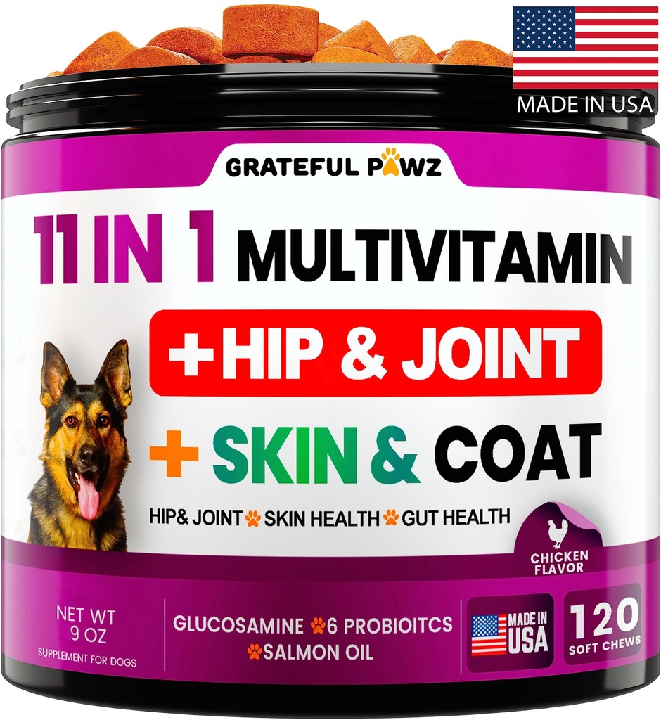 Hunde Multivitamin Chewable med glukosamin - Hundevitaminer og kosttilskudd, Senior & Puppy Multivitamin for hunder - Pet Chondroitin Hip og felles støtte helse, immunforsterkning, hud, hjerte, probiotika