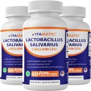 Vitamatic Lactobacillus Salivarius 2 milliarder per DR Capsule - 60 greve - Digestiv støtte - laget med prebiotisk Inulin Fiber (3 flasker)