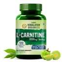 Himalayan Organics L-karnitin L-Tartrate med grønn te ekstrakt 2000 Mg  Healthy sunn vektkontroll | støtter muskelgjenvinning, økt energi, utholdenhet og fettforbrenning -120 vegetariske tabletter