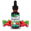 Naturens svar Hawthorn Berries | fremmer sunn sirkulasjonsfunksjon | Hjelper med å opprettholde sunne kolesterol nivåer | Glutenfri, alkoholfri, Kosher Certified & Ingen Preservativer 1oz