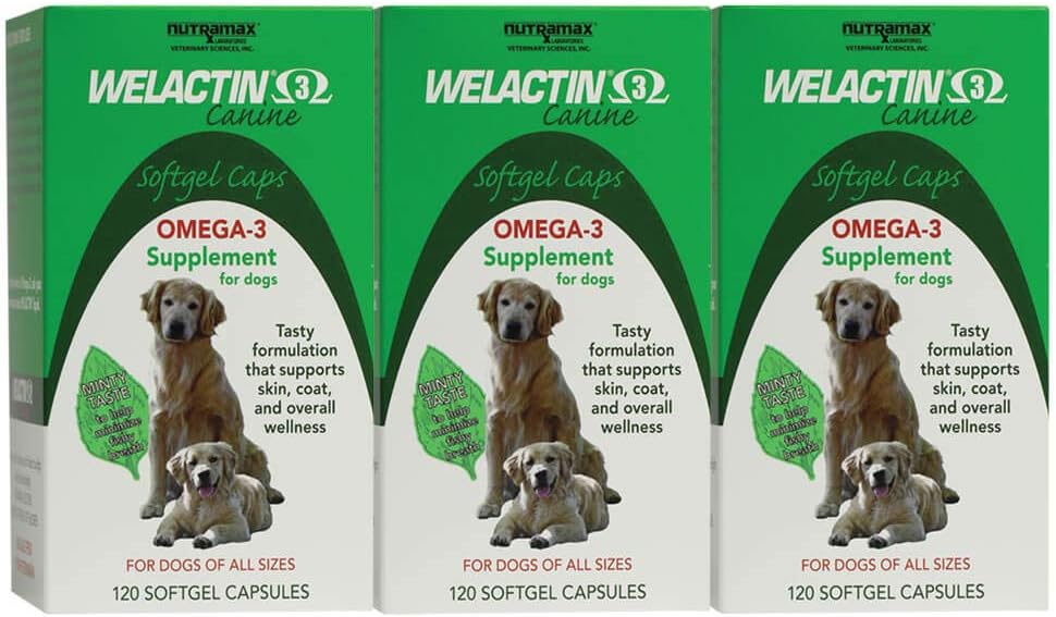 Nutramax Welactin Omega-3 Fish Oil Hud og Coat Helse Supplement flytende for hunder - 3 Pakke, 360 Total Softgels