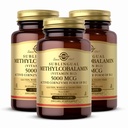 Solgar Methylcobalamin (Vitamin B12) 5000 mg, 60 nuggets (Pack of 3) - Cherry Flavor - Støtter energimetabolisme - Body-Ready, Active Form - Non-GMO, Vegan, Glutenfri - 180 Total Services