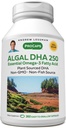 ANDREW LESSMAN Algal DHA 250mg 360 Softgels - Plantebaserte Omega-3 oljer, Naturlig Marine Algae, høy DHA, ikke-GMO, høy styrke, ingen mage Upset, ingen fiskelig ettersmak. Lett å svelge