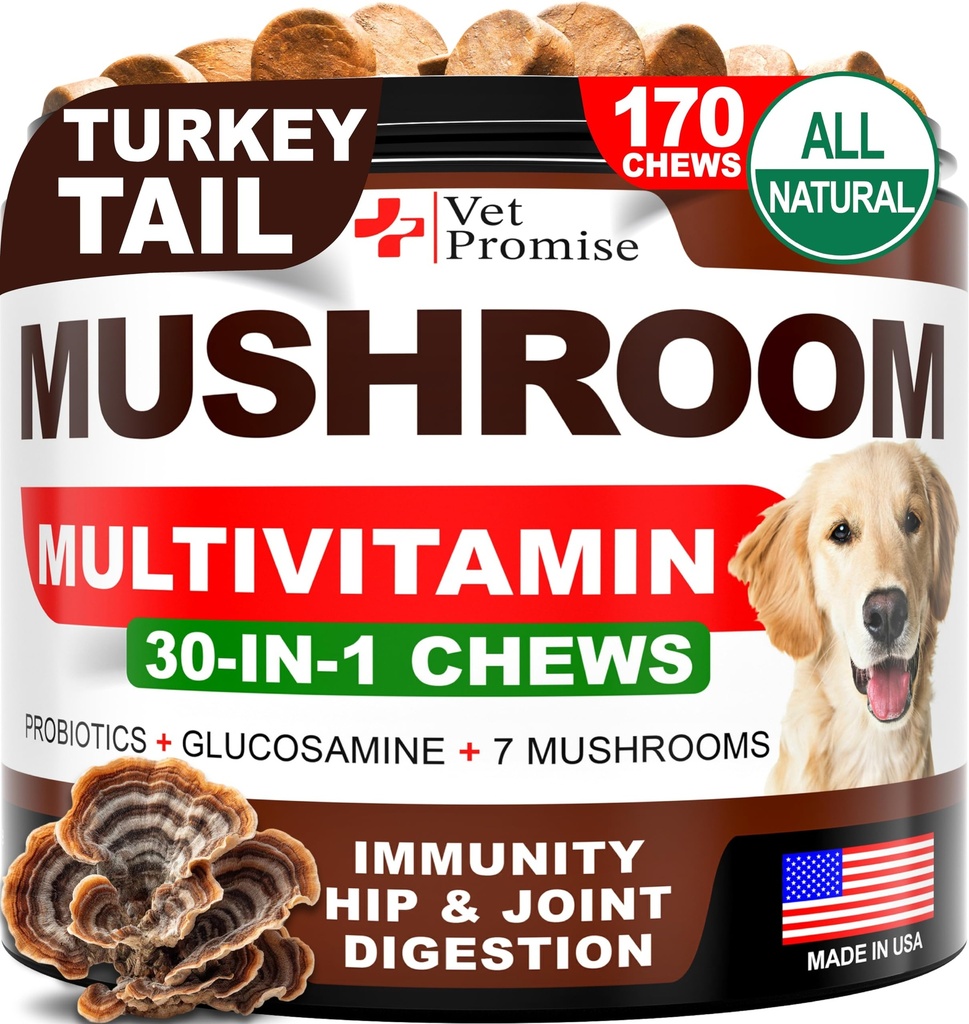 Mushroom for hunder - 170 Chews - Tyrkia Tail - Mushroom Supplement for hunder - Lions Mane - Reishi - Immunitetsstøtte Multivitamin vitaminer - Felles helse - Energi - Gut - Hud - laget i USA