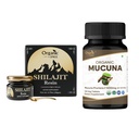 ORGANIC SPREE ren Himalayan Shilajit Resin & Mucuna Supplement – 20g & 120 Tabletter – 85+ Spor Mineral Fulvic Acid Resin & USDA Organic Mucuna Pruriens