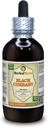 Svart currant (Ribes nigrum) Tinktur, Tørket blader flytende ekstrakt (Brand navn: HerbalTerra, stolt laget i USA) 4 fl.oz (120 ml)