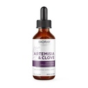 BIORAY Professional Artemisia & Clove - 2 fl oz - Uønsket organisme fjerning med medisinske mushrooms - ikke-GMO, vegetarisk, glutenfri