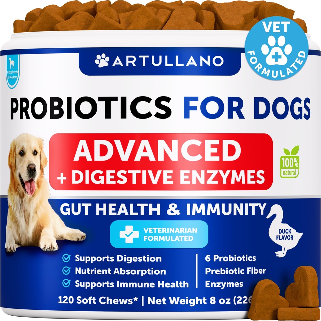 Probiotika for hunder - Støtte Gut Helse, kløende hud, Allergier, Immunitet, Yeast Balance - Hundeprobiotika og Digestive Enzymer med prebiotika - Reduser diarrea, Gas - 120 Probiotic Chews for hunder