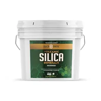 Vulkansk Silica Mineraler Mikronisert - 10 lbs