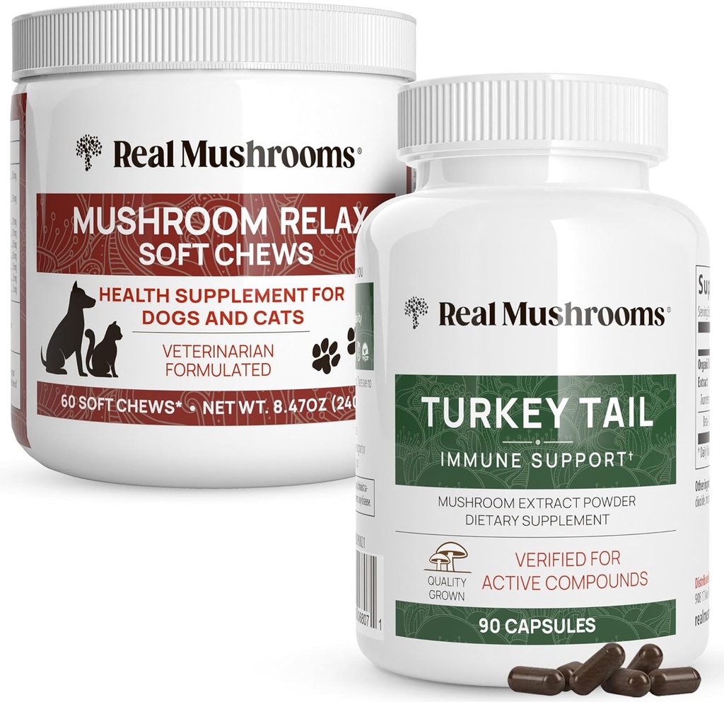 Ekte Mushrooms Tyrkia Tail for mennesker (90ct) & Mushroom Kjæledyr slappe av Chews (60 Chews) - Bundle for immunitet og avslapping - Vegan, ikke-GMO, Glutenfri, kornfri moskroom ekstrakt kosttilskudd