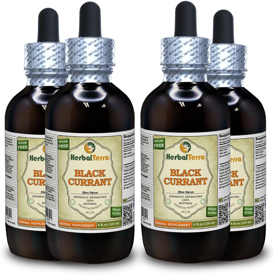 Svart currant (Ribes nigrum) Tinktur, Tørkede blader flytende ekstrakt (Brand Navn: HerbalTerra, stolt laget i USA) 4x4 fl.oz (4x120 ml)