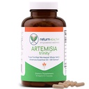 Artemisia Trinity | Cleansing for voksne med Wormwood Herb & Artemisin 30:1 Ekstrakt | Resistance & Digestiv Støtte | Herbal kosttilskudd | Rent, Plantebasert, 90 Caps