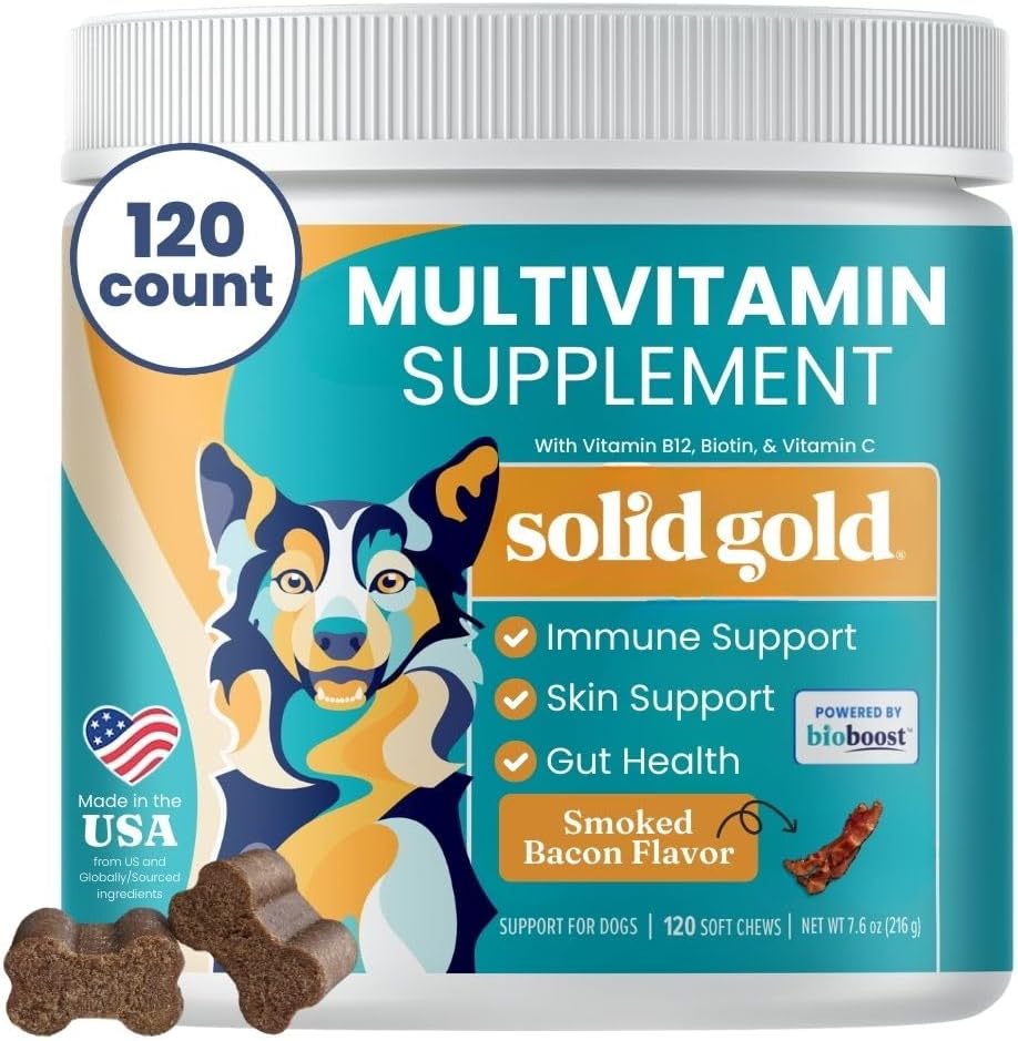 Solid Gold Dog Multivitamin - Mykt Hundevitaminer og kosttilskudd Chews - Alt-i-ett hjerte, immune, hjerne, hud, Coat & Gut Helse Støtte w / Vitamin C, B12, Probiotika og antioksidanter - Bacon Flavor 120ct
