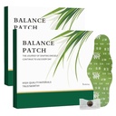 2PCS Herbal Patch Pad Balance - Plantebaserte ingredienser, komfortable klesdesign, enkel emnebruk, fremmer bukspyttkomfort ikke-irriterende design