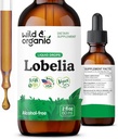 Wild & Organic Lobelia Tinktur - Herbal Lung Cleanse og Detox - flytende Lobelia Extract Supplement - Vegan, Sukker & alkoholfri urter - 2 fl oz