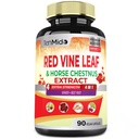 Red Vine Leaf Extract kapsler - med heste kastanje, beet Root, Ginger - Herbal Supplement for hjerte, benvei og energi - 90 vegansk kapsler i 45 dager