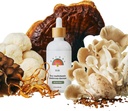 Rainbo - 11:11 Multi Mushroom Tinktur - 11-in-1 alkohol gratis - Dual Extract Mushroom Blend - Overordnet immunstøtte, Brain Support, Flytende Lion's Mane & Turkey Tail, Vegansk, Ikke GMO, 3.4 fl oz