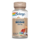 SOLARAY Reishi Mushroom 600mg - Reishi Mushroom Capsules for Immun Support - Vegan, Lab Verifisert - 60 dagers pengene-tilbake garanti - 100 serveringer, 100 Vegkapsler