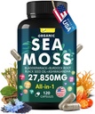 Sea Moss Capsule Complex med Sea Moss, Black Seed Oil, Aşhwagandha, Ginger & Vitaminer C, D3-120 Kapsler, Superfood Kosttilskudd - Avansert Seamoss piller, Wild Sea Moss piller, laget i USA