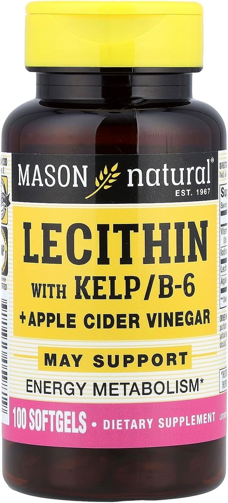 MASON NATURAL Lecithin med KELP, B 6 Plus Cider Vinegar
