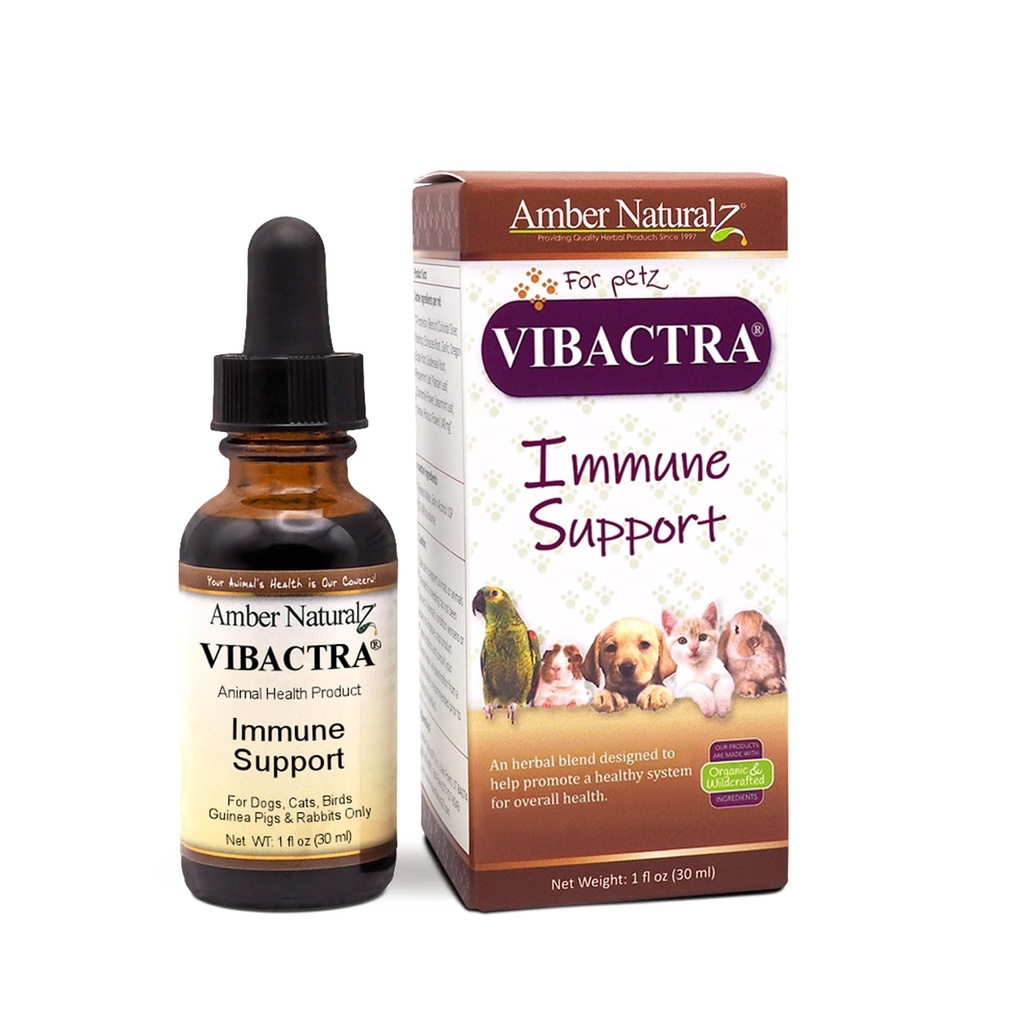 Amber NaturalZ Vibactra Immune Support Herbal Supplement for hunder, katter, fugler, Guinea griser, og kaniner | Kjæledyr Herbal blanding for generell helse | 1 Fluid Ounce Glass flaske | Produsert i USA