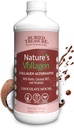 Begravet Treasure Nature Vollagen - 2000mg Vollagen Complex, Hud, Hår og Felles Helse, 100% Plant-basert, Glutenfri, Soya-fri, Dairy-Free, Sjokolade Mocha Flavor, 16oz Flytende