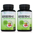 Berberine med Ceylon Cinnamon - 1200mg Berberine & 100mg organisk Ceylon Cinnamon - 120 Veggie Capsules, Sunn Immune System Cardiovaskulær hjerte og gastrointestinal velvære (Pack of 2)