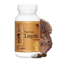 Vita Grønn Lingzhi Mushroom Capsules for energi, minne og immun støtte – ren Reishi Supplement med naturlige antioksidanter for velvære og energi – 72 kapsler
