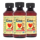 CHILDLIFE ESSENTIALS Liquid Sink Plus for barn og tilhengere - Flytende kosttilskudd dropper, sink gluconate og kobber for immunstøtte - Mango Strawberry, 4 Fl Oz (pakke med 3)