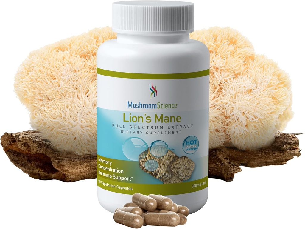 MushroomScience Lions Mane Mushroom Kapsler, Minne & Konsentrasjonsstøtte, Full Spectrum Extract, Mushroom Supplement for voksne, Hot vann ekstrahert Mushrooms, Vegetarisk, 300MG, 90 ct
