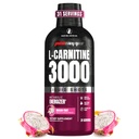 ProSupps L-karnitin flytende 3000, stimulant-fri flytende skudd for menn og kvinner - ren treningsdrikk for energi, ytelse og muskelgjenvinning - Ingen sukker, ingen karbohydrater - 31 serveringer, Drage frukt