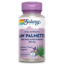 SOLARAY Saw Palmetto ekstrakt - Prostate Health and Urinary Tract Support - 136 mg fettsyrer og steroler - Lab verifisert, 60-dagers pengene-tilbake garanti (120 serveringer, 120 Softgels)