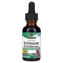 Naturens svar Enchinacea & Goldensel | Støtter et sunt immunsystem | Super konsentrert ren ekstrakt | alkohol-fri, glutenfri, vegansk og kosher sertifisert 1oz
