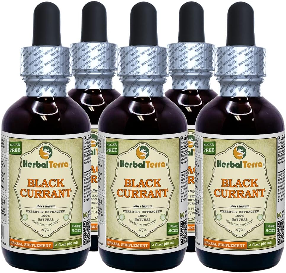 Svart currant (Ribes nigrum) Tinktur, Tørket blader flytende ekstrakt (Brand navn: HerbalTerra, stolt laget i USA) 5x2 fl.oz (5x60 ml)