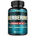 Satoomi 25in1 Berberine Supplement - Berberine Hcl - Ceylon Cinnamon - Melk Thistle og mer