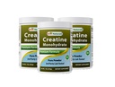 Beste Naturals Kreatin Monohydrat 1 Lb Pure Powder (1 LB (Pack of 3))