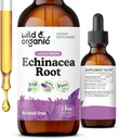 Wild & Organic Echinacea Tinktur - immunstøtte faller med flytende Echinacea Root Extract - Angustifolia Kosttilskudd - Vegansk, Sukker & alkohol-fri - 2 fl oz