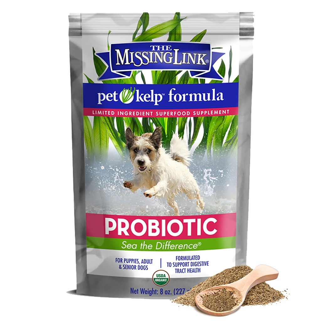 Den manglende linken Kjæledyr Kelp Canine Probiotic 8oz Superfood pulverisert kosttilskudd, organisk & begrenset ingrediensformel for digestiv helse av hunder