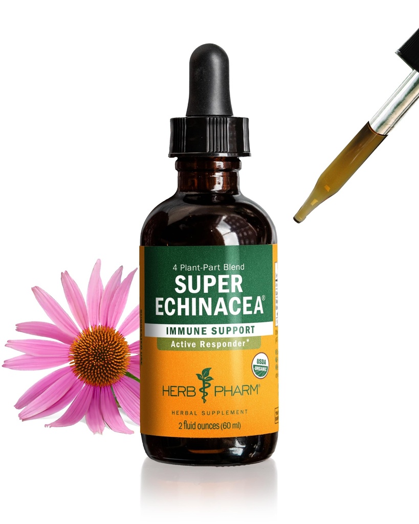 Herb Pharm Certified Organic Super Echinacea flytende ekstrakt drops for aktiv immunsystem støtte, 2 Oz