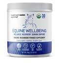 Om Mushroom Matrix - Equine | Velvære | USA Voksen Human-Grade Organic Mushroom Powder Vis Safe Horse Supplement | Velvære, og Senior Support | 300 Grams, 10.5 oz