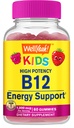 WellJaja vitamin B12 Gummies for barn - Øk energi, forbedre hjernens funksjon og styrke immunsystemet - Ikke-GMO, Glutenfri - Great Tasting Berry Flavor - lett å Chew - 60 Gummies