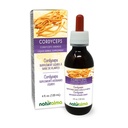 Naturalma Cordyceps (Cordyceps sinensis) Fungus eller Mushroom alkoholfri tinktur - 4 fl oz flytende ekstrakt i dråper - Herbal Supplement - Vegan