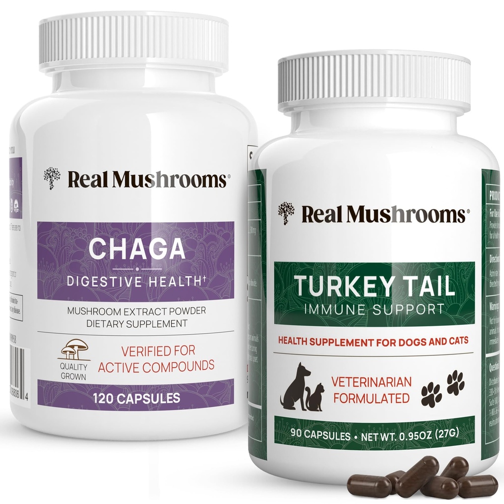 Ekte Mushrooms Chaga for mennesker (120ct) & Tyrkia Tail for Kjæledyr (90ct) - Bundle for Digestive Helse og immunitet - Vegansk, ikke-GMO, Kornfri, Glutenfri Mushroom Extract Kapsler