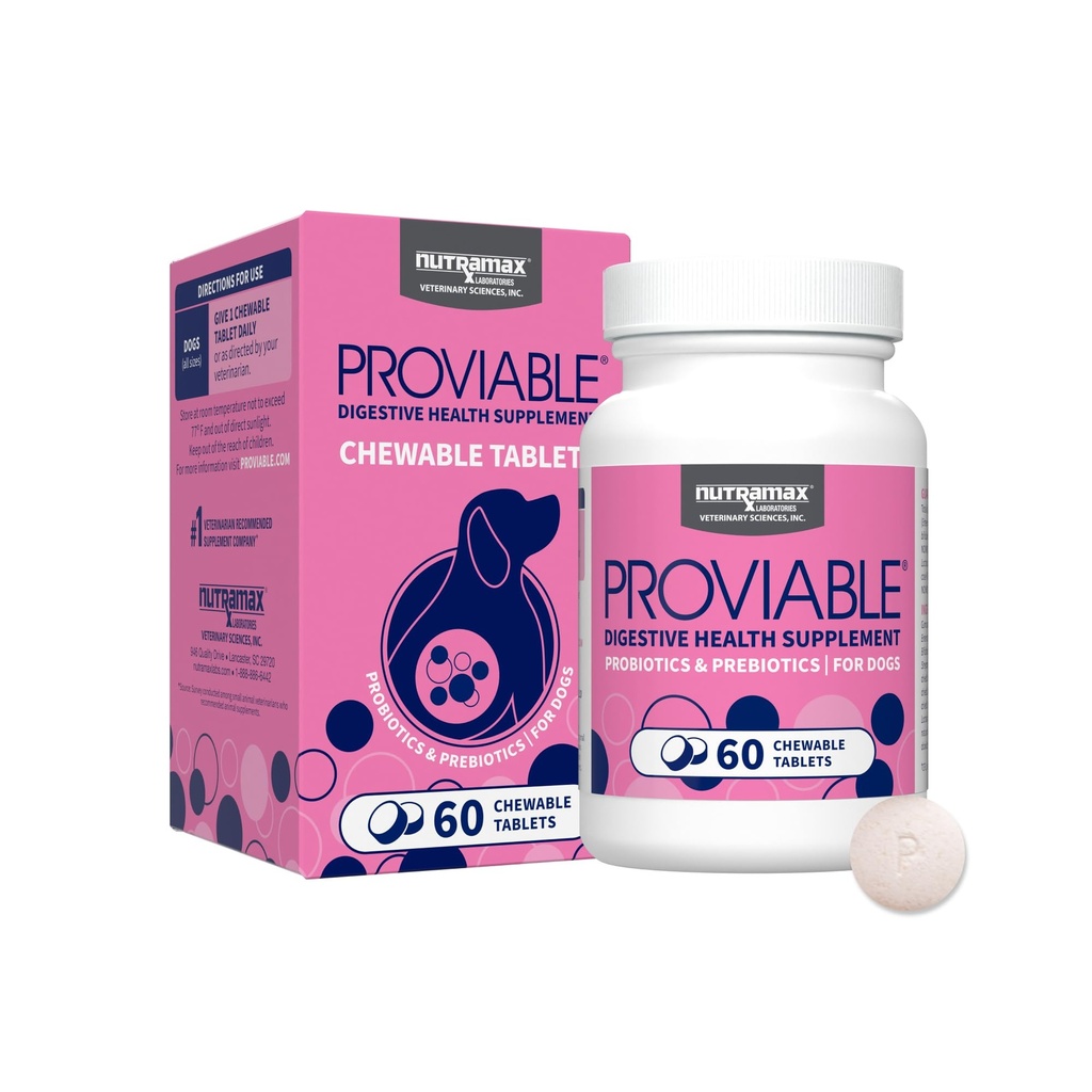 Nutramax Provitable Probiotika for hunder, daglig Digestive Helse Supplement med flere strimler av bakterier, hund probiotika Plus Prebiotika, 60 Chewable tabletter