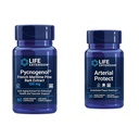 Livsforlengelse Pycnogenol Fransk Maritime Pine Bark & Gotu Kola Arterial Helse kosttilskudd - 60 & 30 Vegetariske kapsler