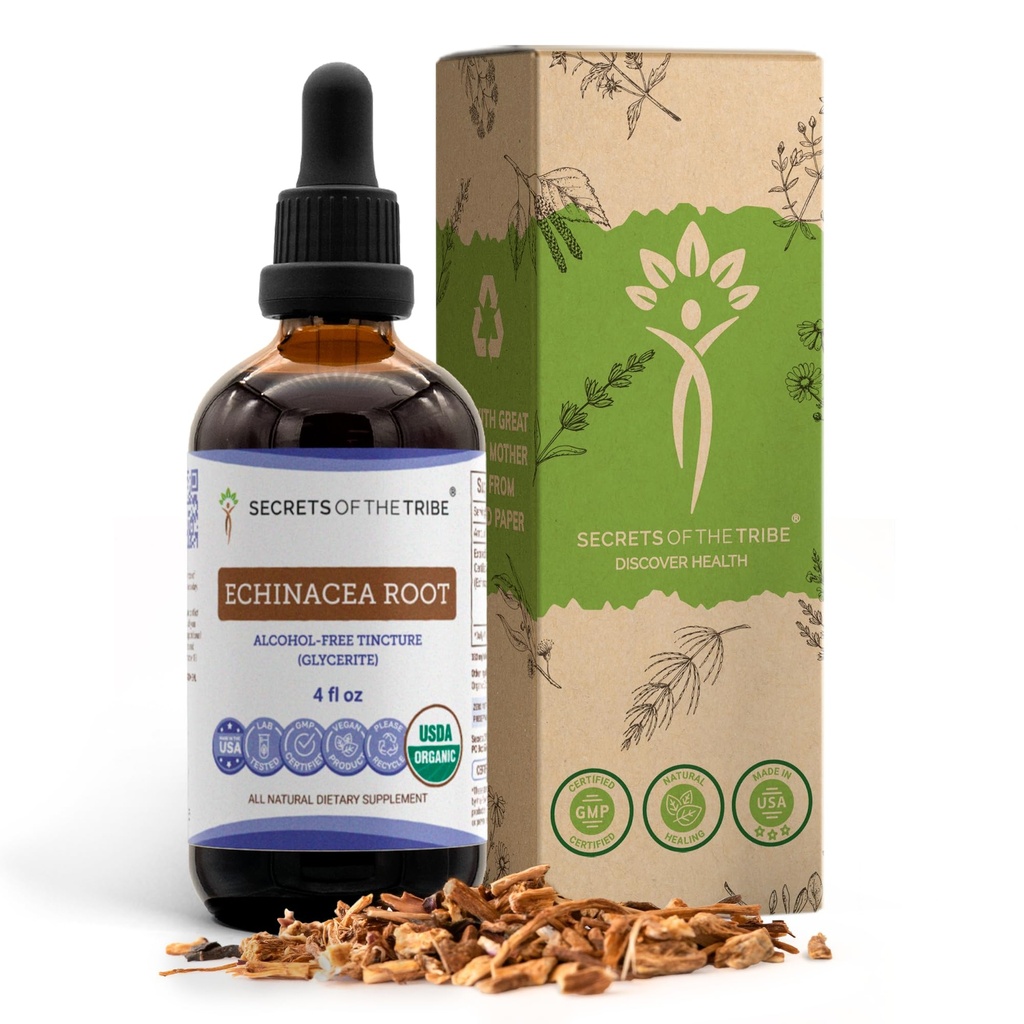Echinacea Root USDA Økologisk Tinktur | Alkohol-fri ekstrakt, høy potens Herbal Drops, Immunsystem helse | laget av 100% sertifiserte organisk Echinacea Root (Echinacea Purpurea) 4 oz